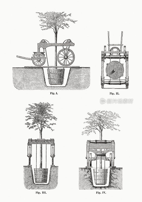 树移植车，木刻，出版于1873年