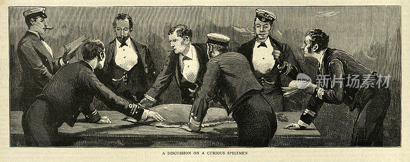 英国皇家海军中国中队的军官们看着比目鱼标本，摄于1888年，19世纪