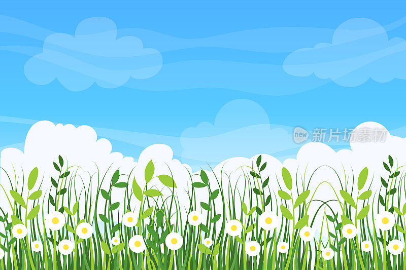 卡通草背景。夏天的背景与绿色的草坪和蓝天与云彩和地方的文字。矢量图