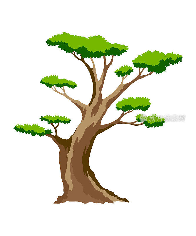 树。自然植物的生态理念。矢量平坦的绿色金合欢树图标孤立在白色背景上。园林植物元素