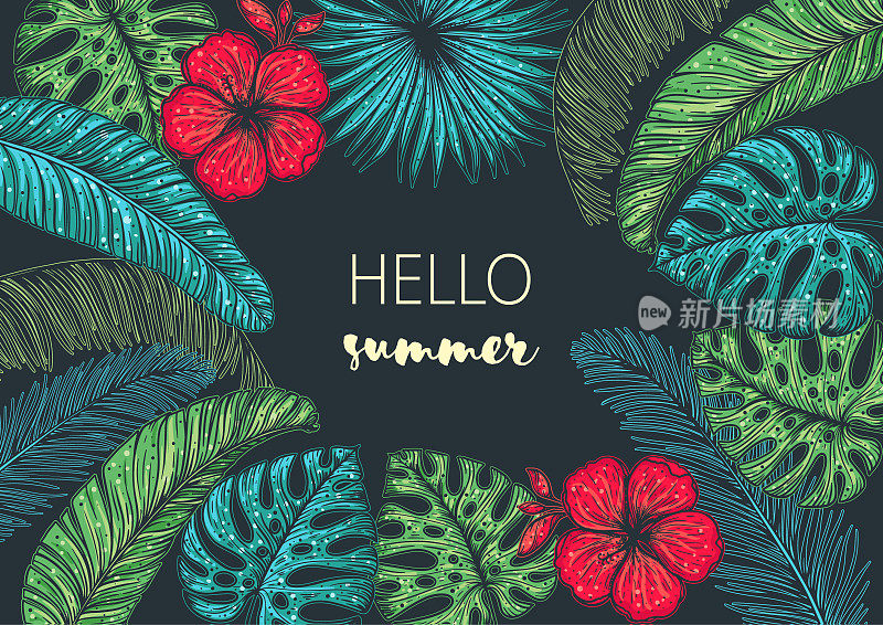 热带设计模板。你好,夏天的框架。棕榈叶和花矢量插图。夏天的设计。