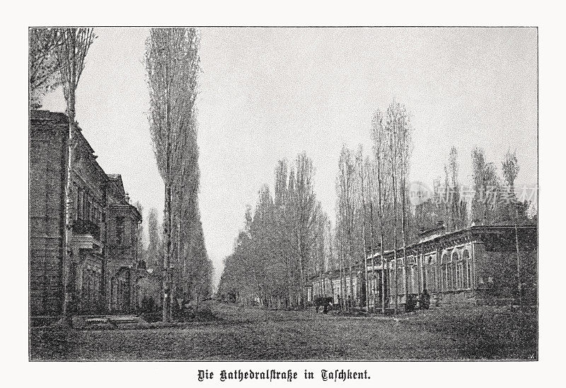 罗曼诺夫斯卡娅街在塔什干，乌兹别克斯坦，半色调印刷，出版于1899年