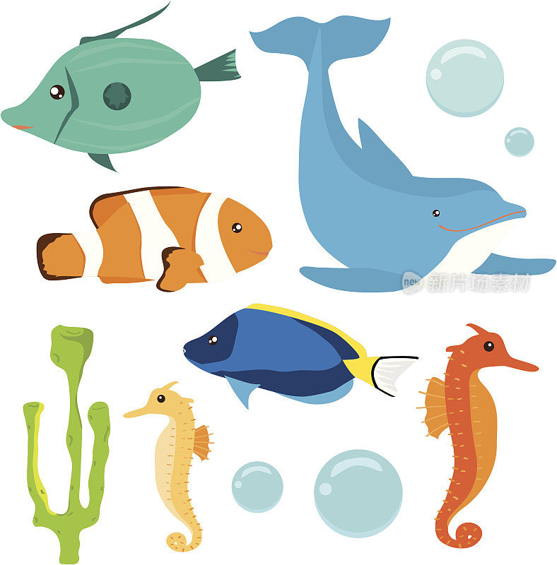 海洋生物集;鱼