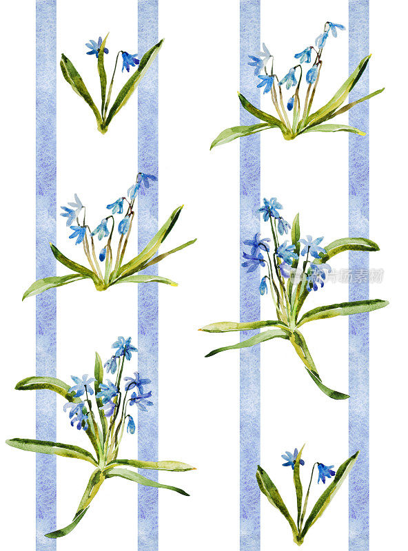 水彩蓝花scilla图案复古壁纸与条纹