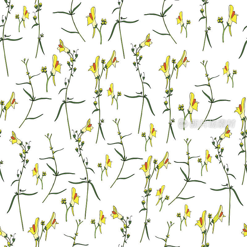 黄扁豆，俗称黄扁豆，是黄扁豆属的一种，金鱼草，车前草科，手绘矢量彩色插图，无缝花卉图案