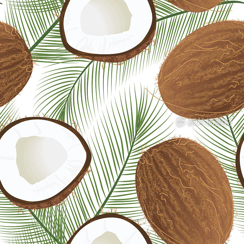 成熟多汁的椰子，叶子孤立在白色上。无缝模式向量全和半