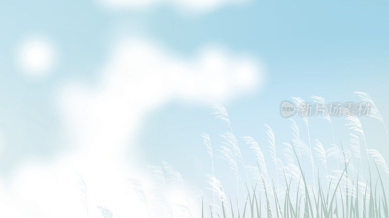 草地上有白花和明亮的蓝天景观