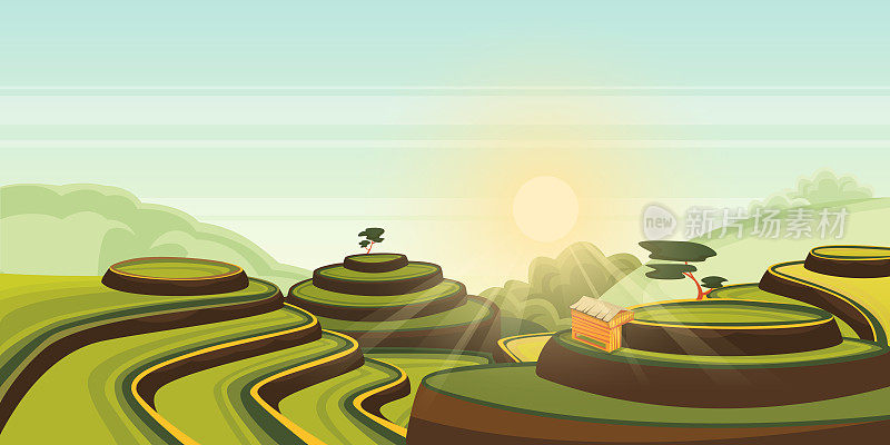 水稻在梯田中生长。绿色景观的矢量卡通插图。亚洲乡村景观背景。