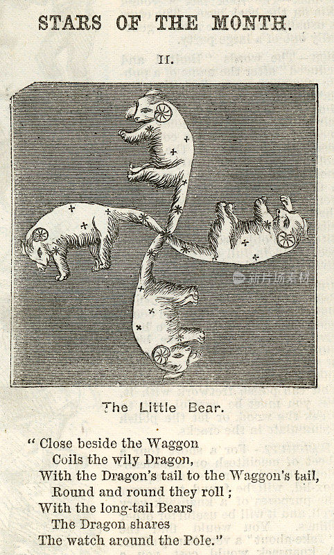 星图，小熊星座，小熊星座，维多利亚时代的插图