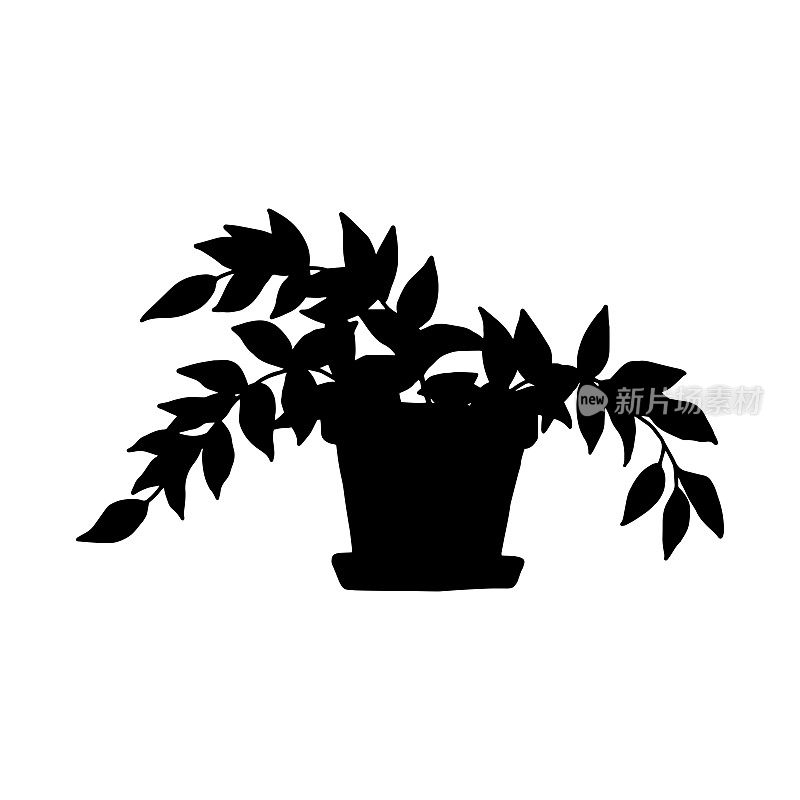 轮廓紫鸭跖草室内植物。室内盆栽植物矢量黑白轮廓涂鸦插图。
