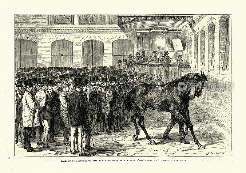 拍卖第十轻骑兵马在塔特萨尔，拍卖，1870年代，维多利亚，19世纪
