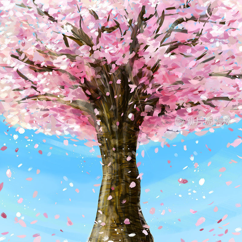 樱桃树作为背景