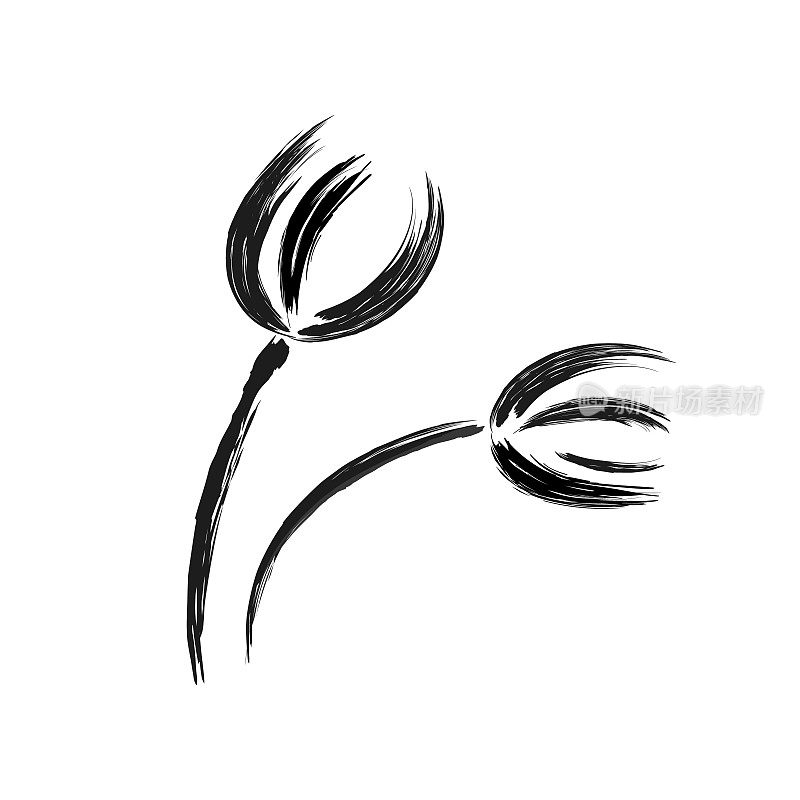 郁金香。花手画毛笔笔画，水墨写生。黑白植物设计