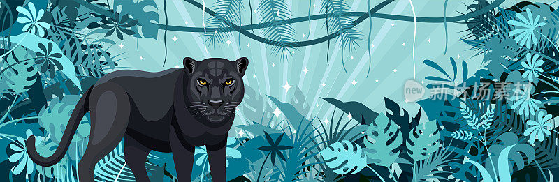 丛林里的黑豹。吉祥物创意标志设计。热带雨林旗帜。丛林框架海报。
