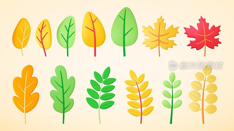 抽象三维树叶和树木。大自然逼真的橡皮泥元素，绿油油的黄树。橡树和枫叶，秋、夏各种矢量枝干