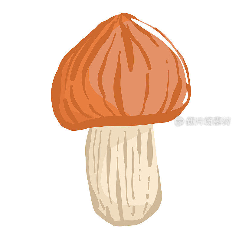 手绘风格的蘑菇。迷幻抽象蘑菇，嬉皮风格。矢量插图孤立在白色背景上。