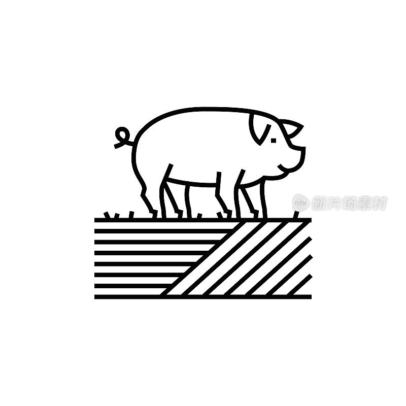 猪，农场和农业线图标