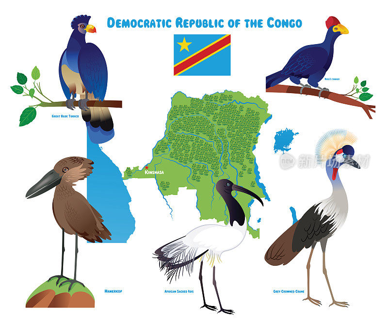 刚果民主共和国和鸟类