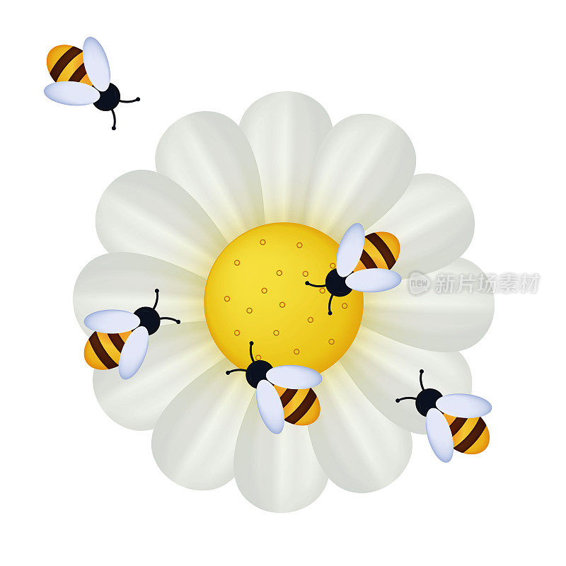 一群蜜蜂在蜂房里采蜜。这种昆虫为白色的洋甘菊、雏菊和非洲菊授粉。矢量3d插图，横幅。团队合作过程的概念。