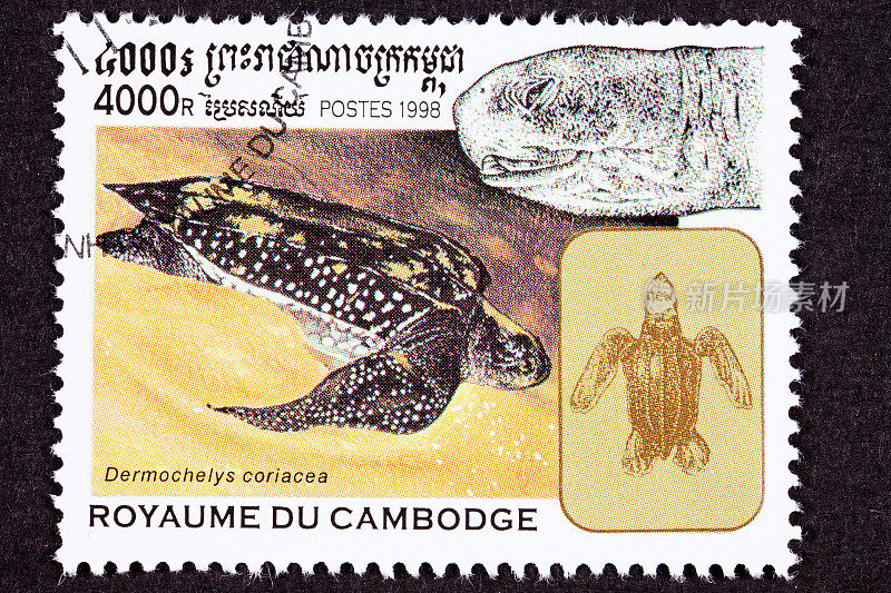 取消柬埔寨邮票游泳棱皮龟