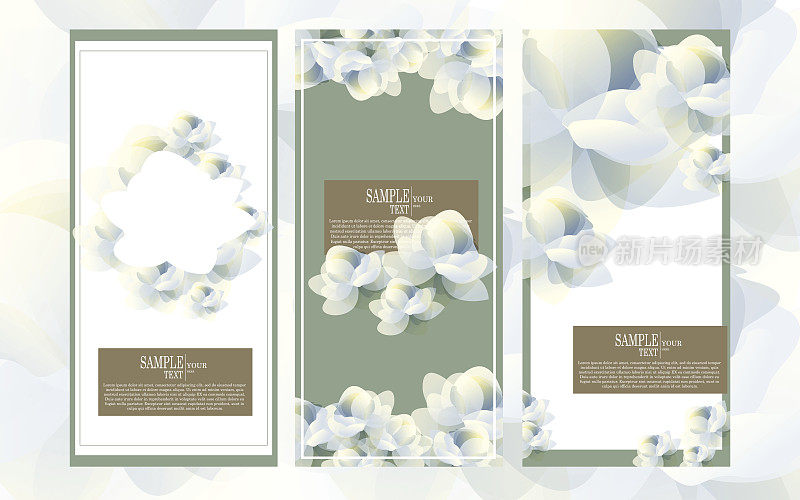 矢量抽象水彩花卉模板设计集，茉莉花图案