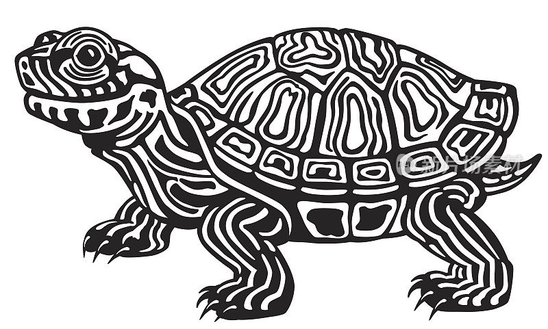 黑白海龟