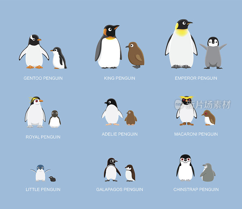 企鹅宝宝卡通情感面对矢量插图