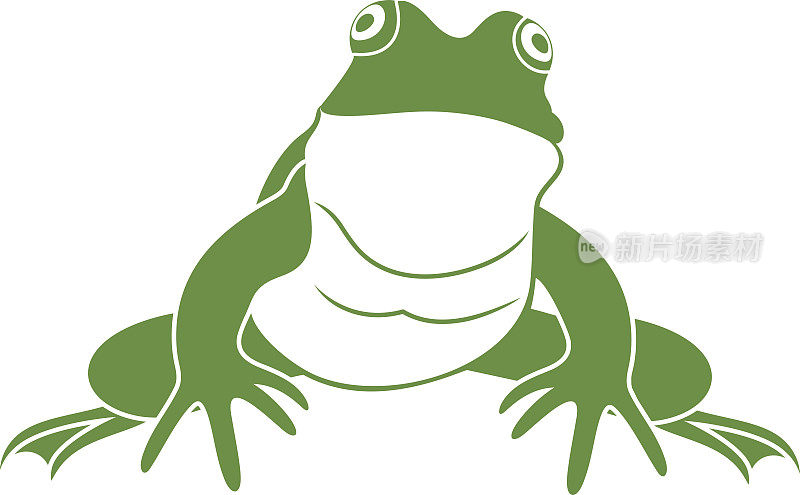 绿色的小青蛙。孤立的青蛙在白色背景上