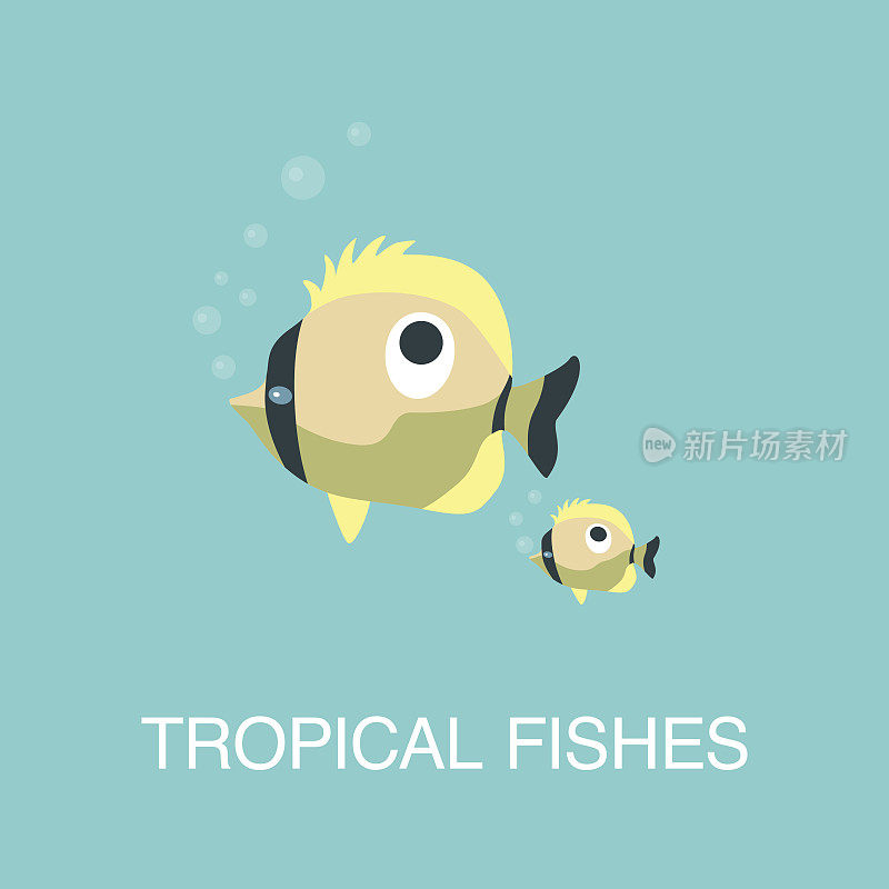 水下有趣的热带鱼。