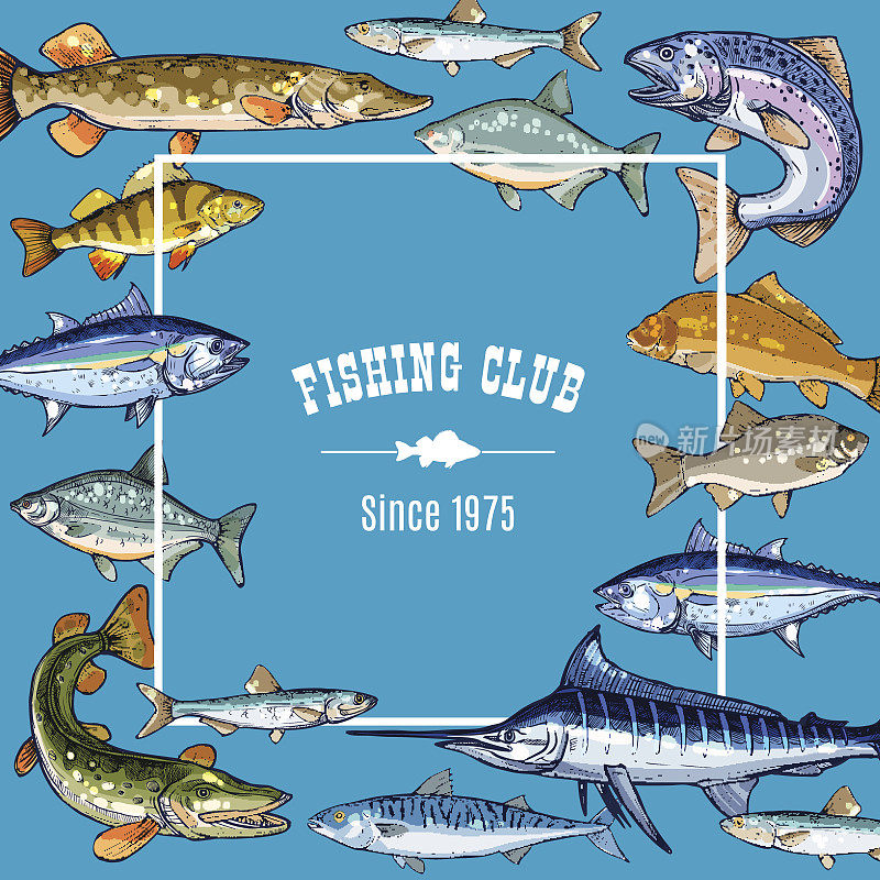 矢量草图海报模板为钓鱼俱乐部