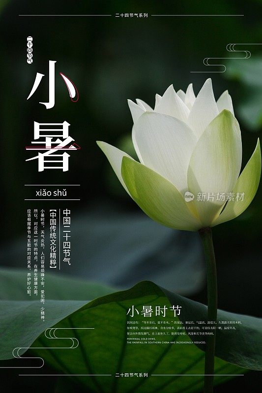 极简中国风小暑24节气节日海报