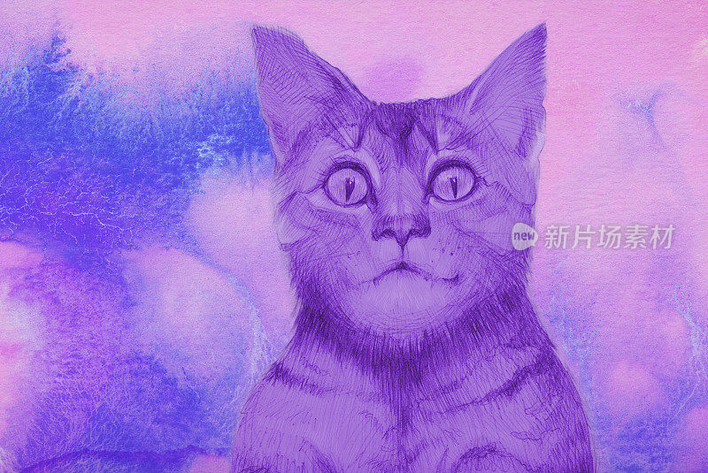 时尚的插画现代艺术寓言画与水彩画在纸上的夜晚肖像美丽温柔的塑料小猫与发光的眼睛在一个抽象的背景流动水彩画在粉红色和紫色的颜色