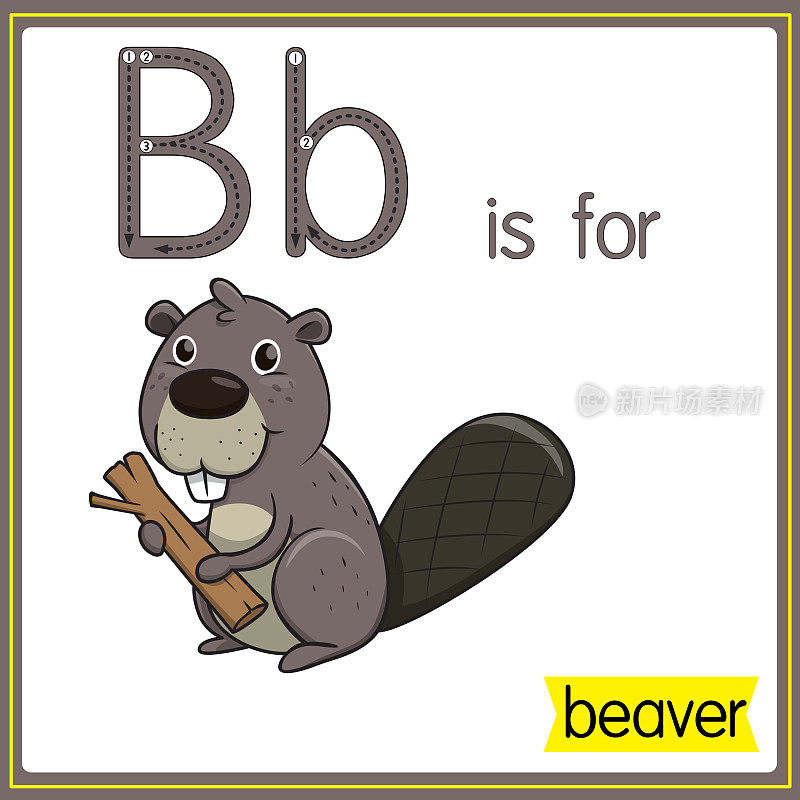矢量插图学习字母为儿童与卡通形象。字母B代表海狸。