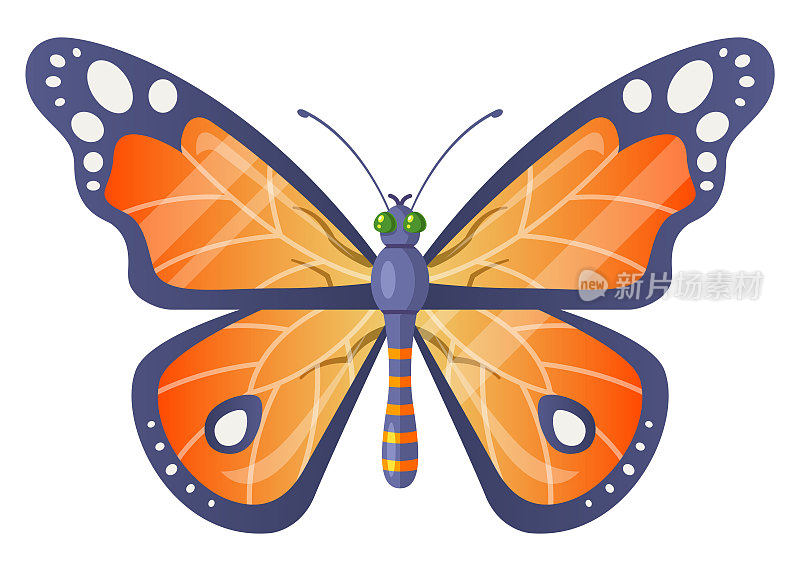 橙色现实的蝴蝶。春天的昆虫