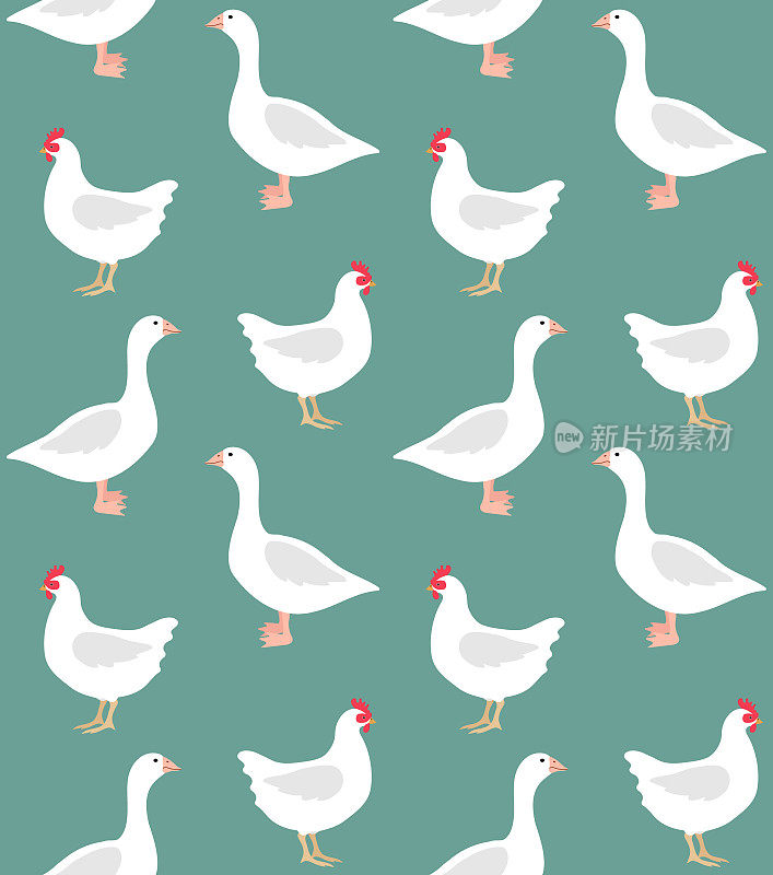 矢量无缝图案的彩色手绘平鸡和鹅