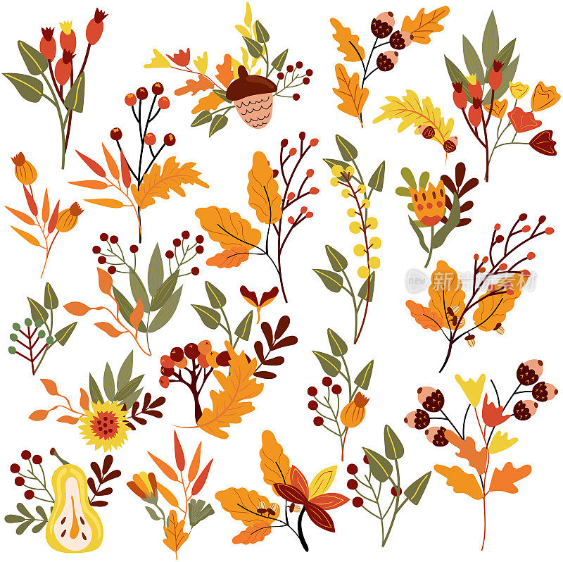 用花朵、五颜六色的叶子、红色的浆果和橡子来设置秋天的构图。花的集合。季节插图为web，收获节日，横幅，卡片和感恩节。矢量插图。