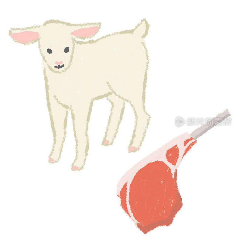 羊扒肉扒插画