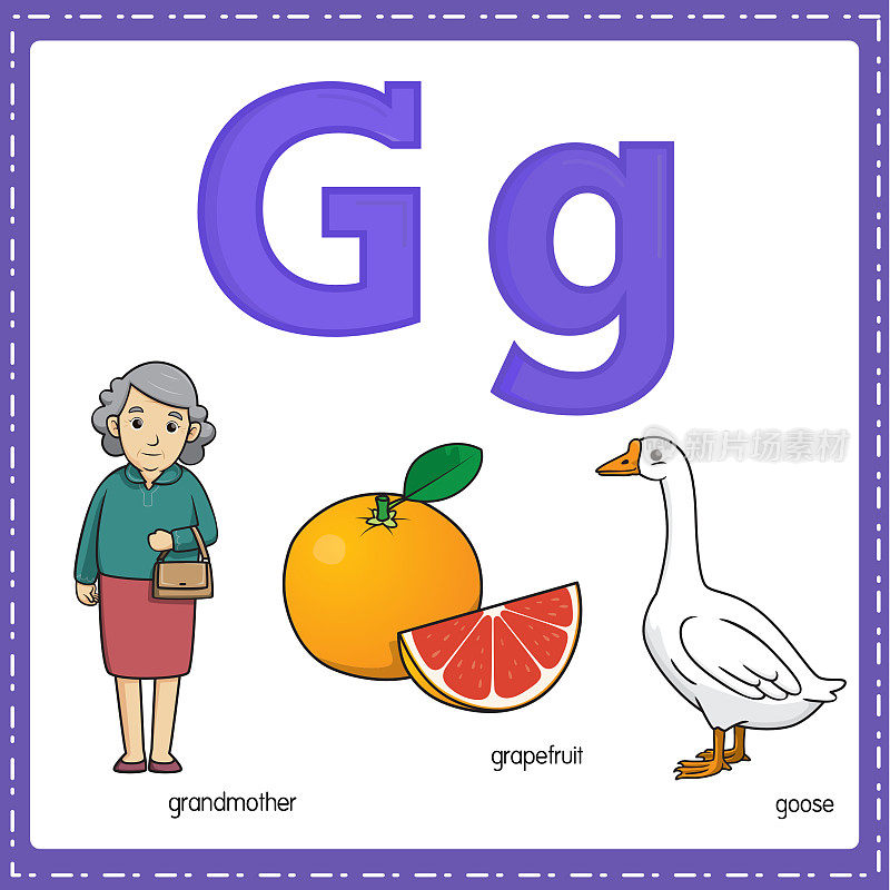 向量插图学习字母G的小写和大写的儿童与3卡通图像。祖母葡萄柚鹅。