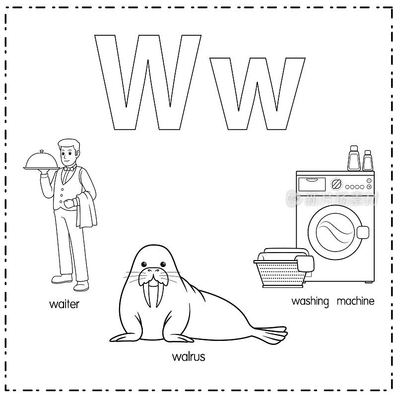 向量插图学习字母W的小写和大写的儿童与3卡通图像。服务员海象洗。