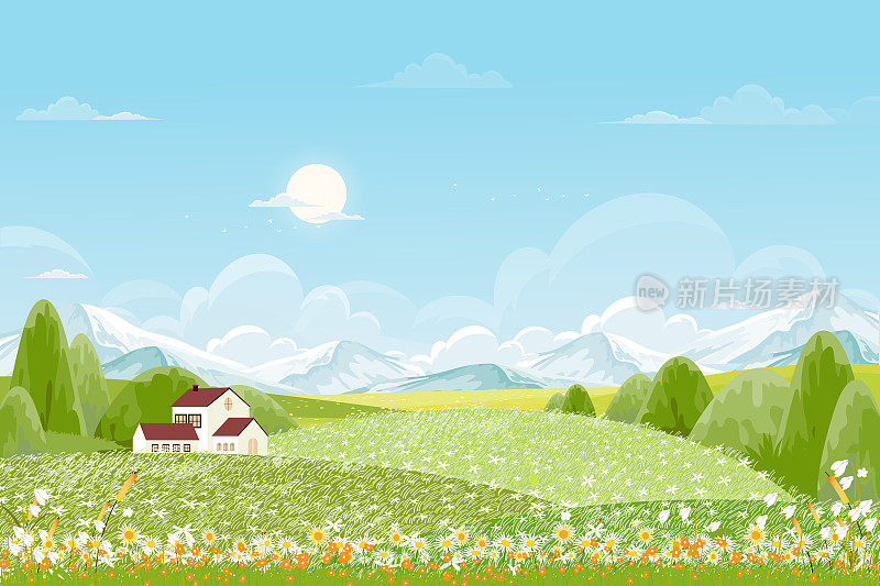 春天绿色的田野景观以山，蓝天和白云为背景，全景宁静的乡村自然在春天与绿色的草地。卡通矢量插图的春天和夏天旗帜