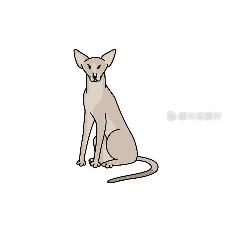 猫品种东方短毛轮廓素描涂鸦插图。