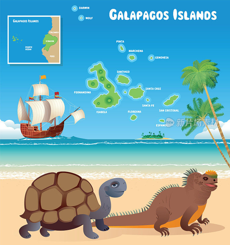 加拉帕戈斯群岛和鬣蜥