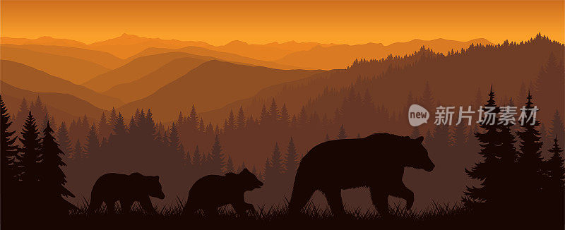 和熊的家人一起在山上矢量早上