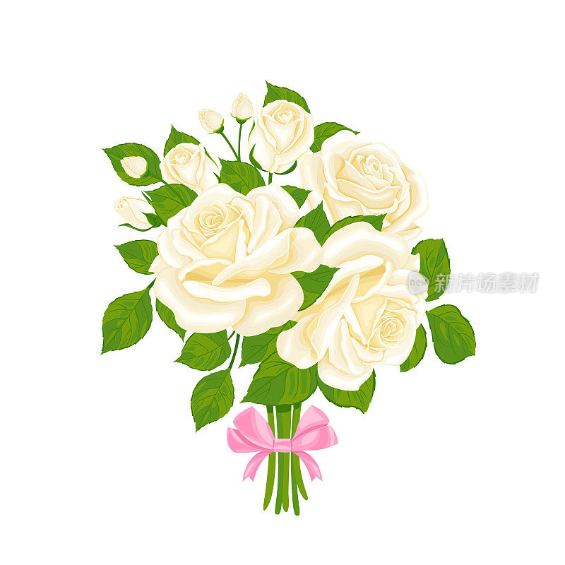 白色玫瑰花束，粉红色蝴蝶结。矢量花卉卡通插图。