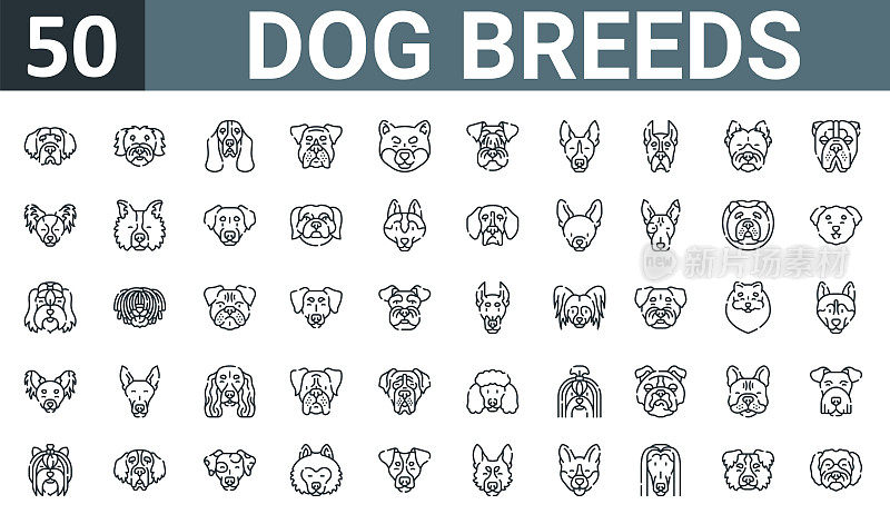 套50轮廓网狗品种图标，如纽芬兰，博洛尼亚，巴斯猎犬，罗威纳犬，柴犬，波西米亚梗，巴森吉矢量瘦图标报告，展示，图表，网页设计，