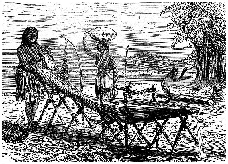 古董插图，民族志和土著文化:洗涤西米，塞拉姆岛