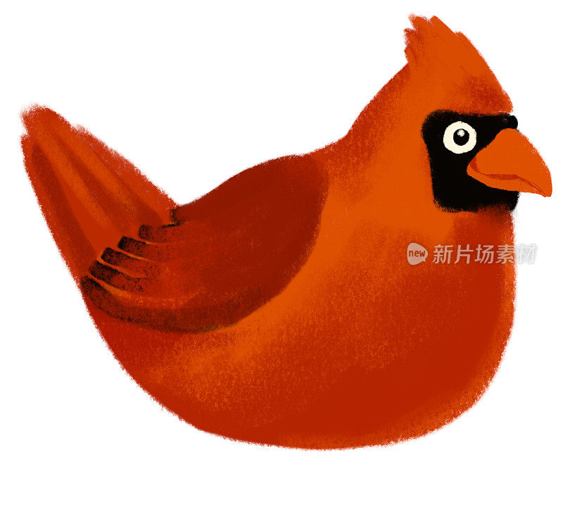 愤怒的小鸟真红红衣主教鸣鸟卡通粉笔画插图