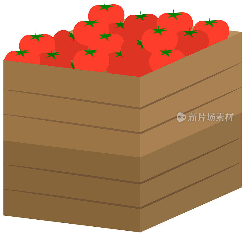 西红柿装在木箱里。秋天的收获。隔离蔬菜，白色背景容器