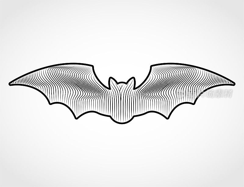 蝙蝠图标在绘图。