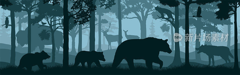 无缝向量森林林地背景与熊的家庭，鹿，猫头鹰，鹰，狼，野牛，猞猁和美洲狮